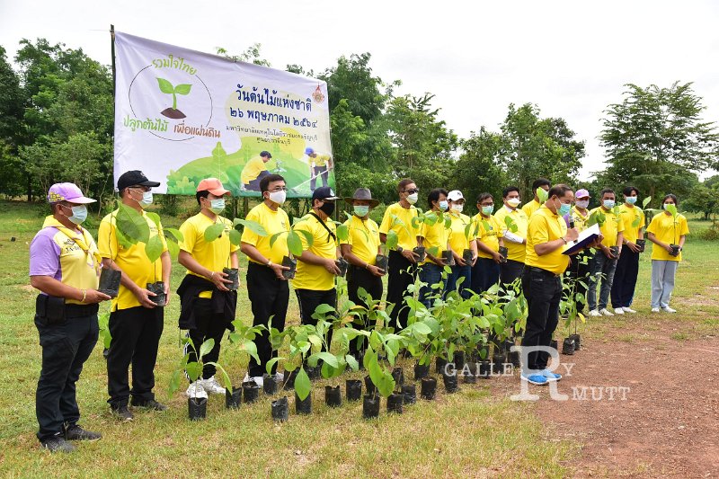 20210526-Tree planting dayt-125.JPG